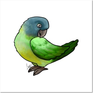 Bird - Conure - Blue Crowned Conure Posters and Art